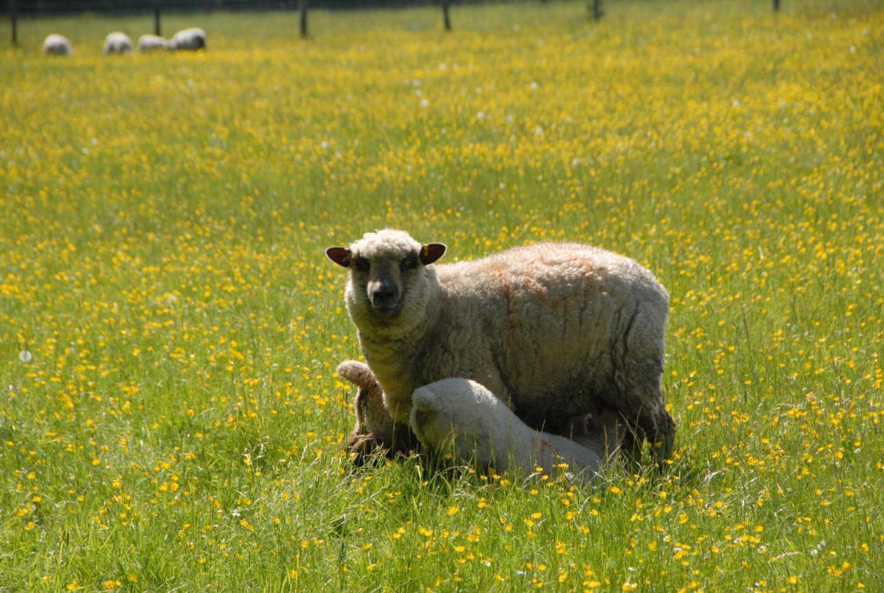 Banbury Hill Farm Bed and Breakfast Charlbury Esterno foto