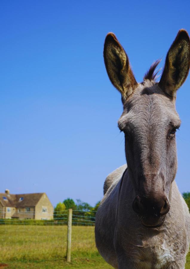 Banbury Hill Farm Bed and Breakfast Charlbury Esterno foto